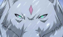 白狼漫画,探寻狼族传奇，揭秘神秘力量